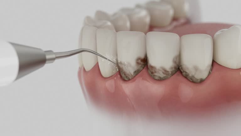 Reliable Dental contractor in Hancock, MI by Dentist Open Now